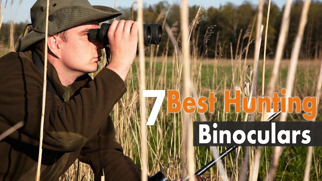 7 Best Hunting Binoculars