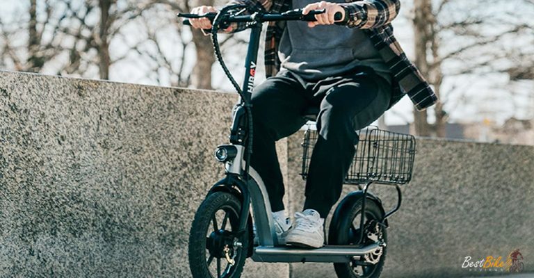 Hiboy Electric Scooter 450W