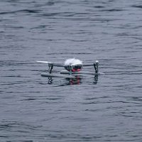 Can Drones Float on Water?